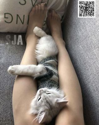 任长霞电视剧